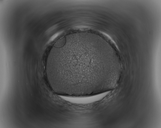 X0000086100871200703301212