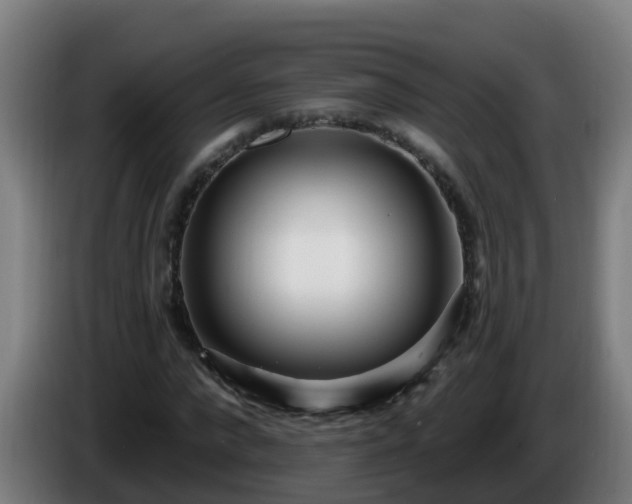 X0000086100872200703301212