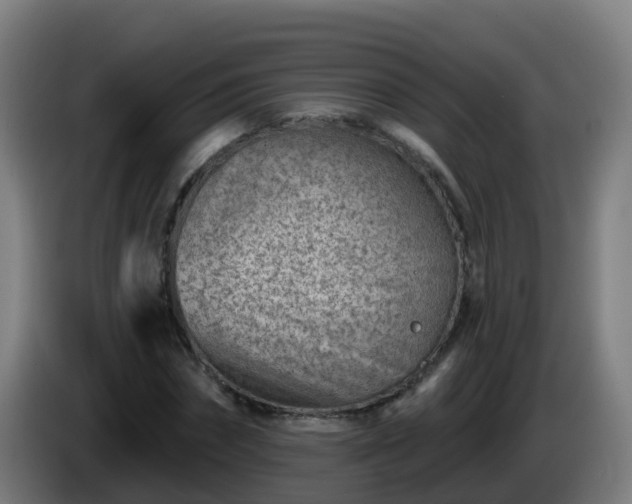 X0000086100874200703301212