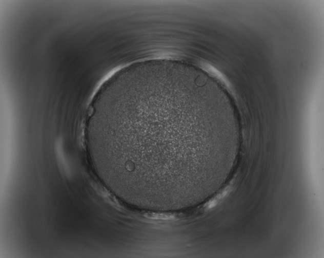 X0000086100875200703301212