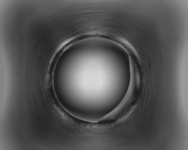 X0000086100876200703301212