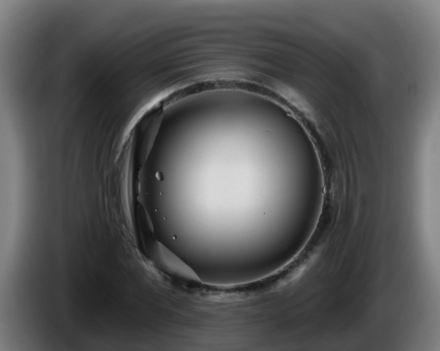 X0000086100877200703301212