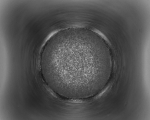 X0000086100878200703301212