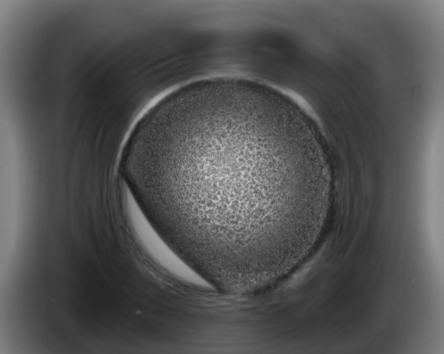X0000086100879200703301212
