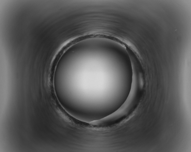 X0000086100880200703301212