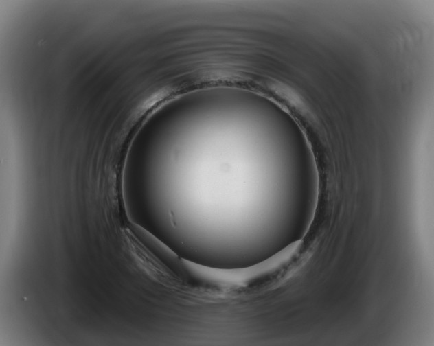 X0000086100881200703301212