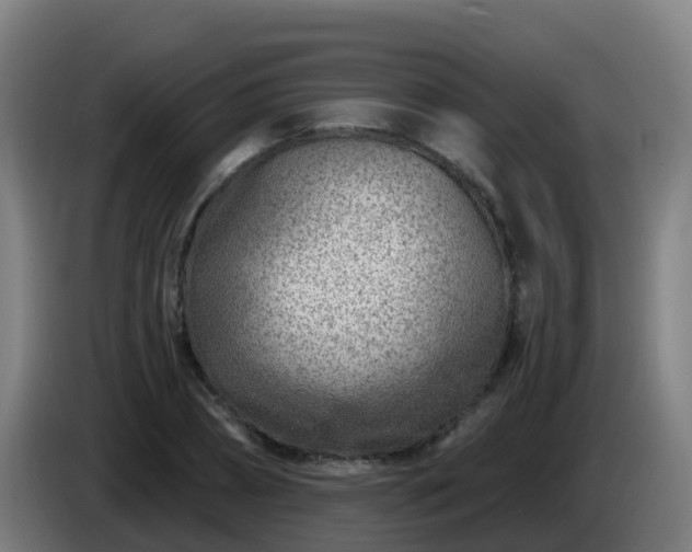 X0000086100882200703301212