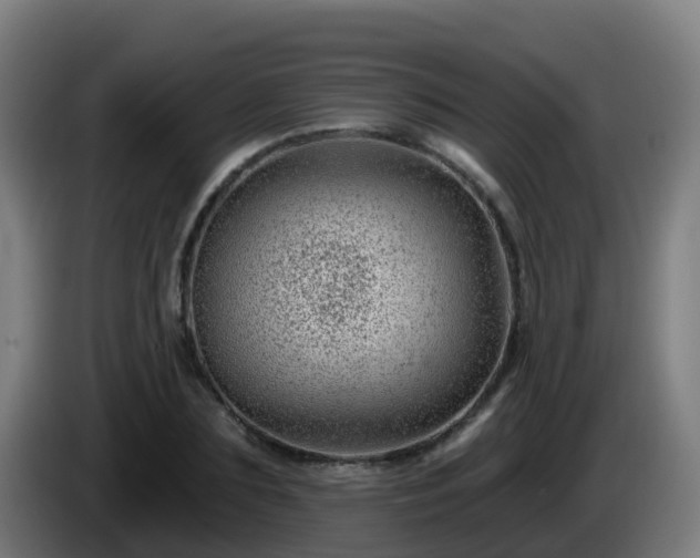 X0000086100883200703301212