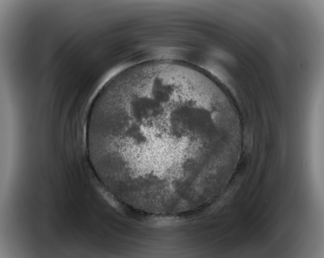X0000086100886200703301212