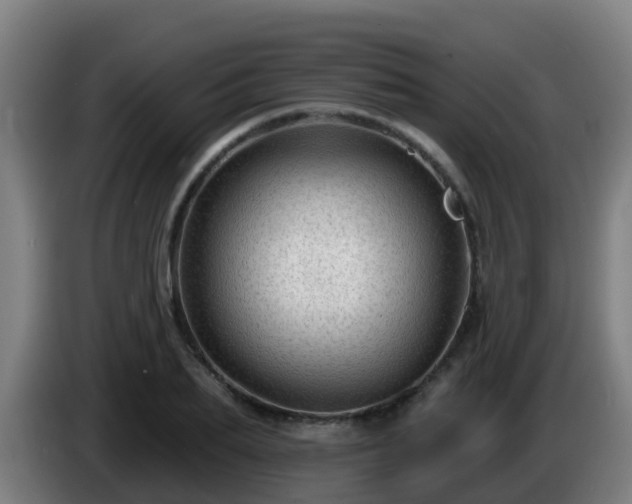 X0000086100887200703301212