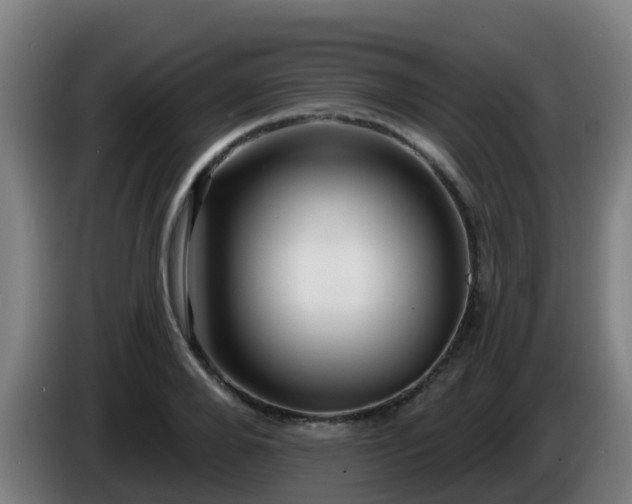 X0000086100888200703301212