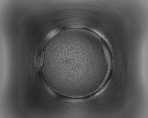 X0000086100889200703301212