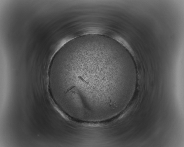 X0000086100890200703301212