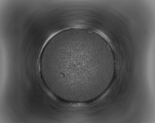 X0000086100891200703301212
