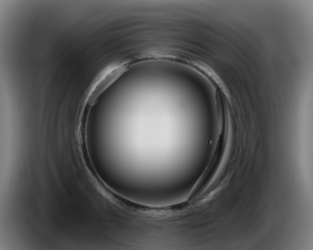 X0000086100893200703301212