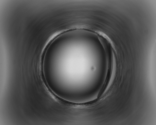 X0000086100894200703301212