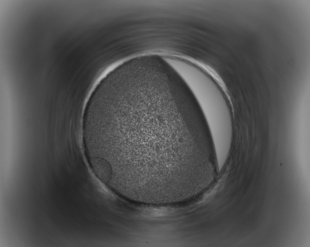 X0000086100895200703301212