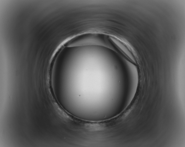 X0000086100896200703301212