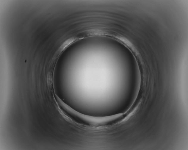 X0000086100897200703301212