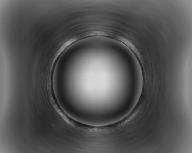 X0000086100898200703301212