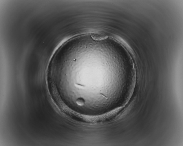 X0000086100899200703301212