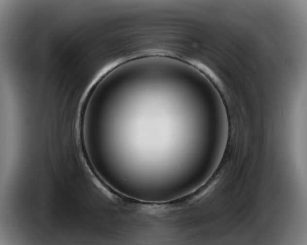 X0000086100902200703301212