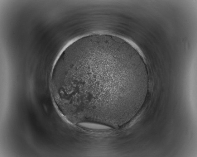 X0000086100903200703301212