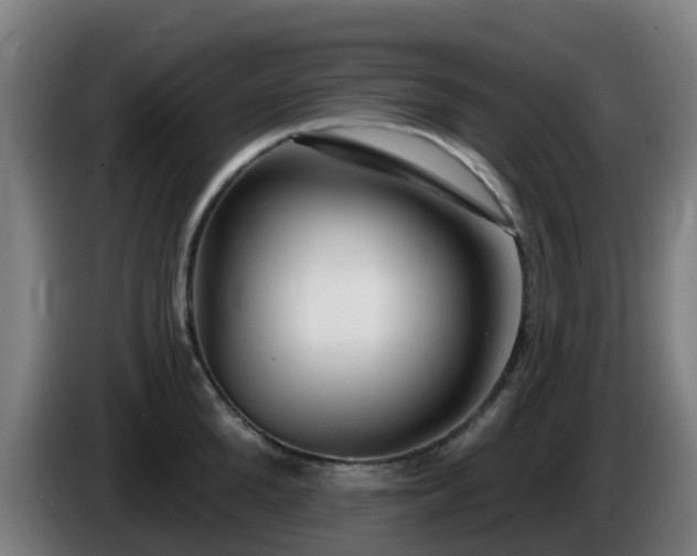 X0000086100904200703301212