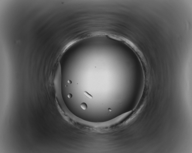 X0000086100905200703301212