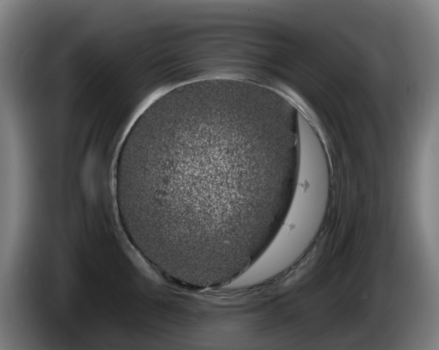 X0000086100907200703301212