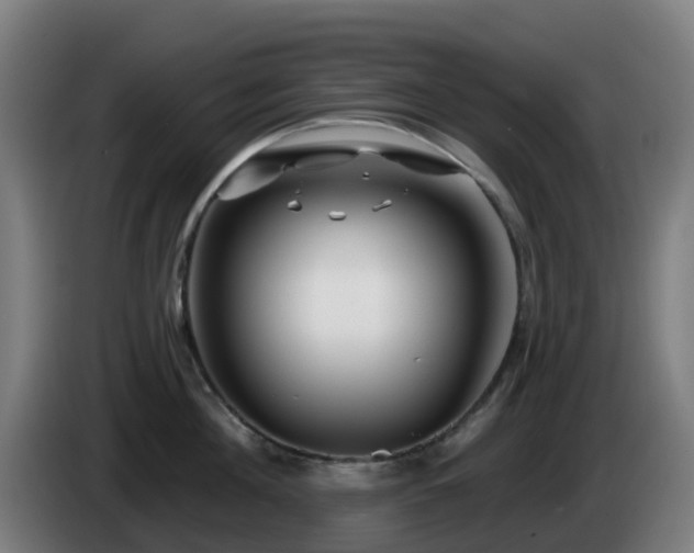X0000086100908200703301212