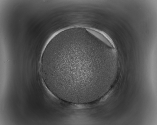 X0000086100911200703301212