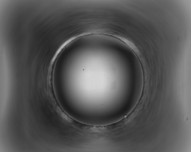 X0000086100912200703301212