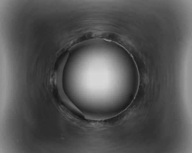 X0000086100914200703301211