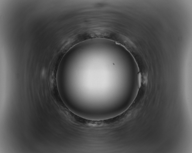 X0000086100915200703301211