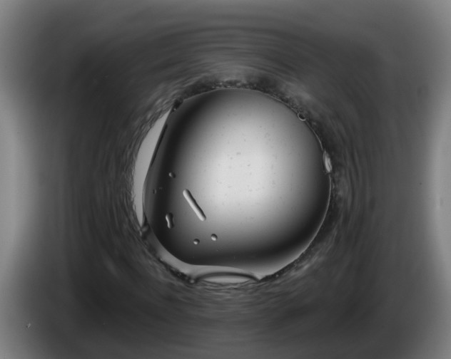 X0000086100916200703301211