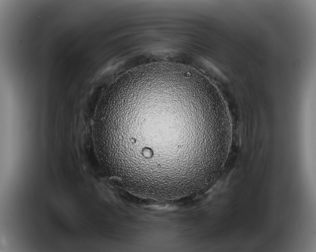 X0000086100917200703301211