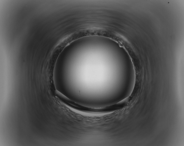 X0000086100919200703301211