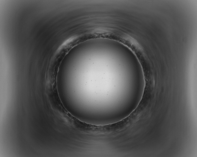 X0000086100920200703301211