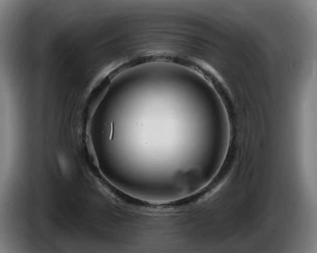 X0000086100922200703301211