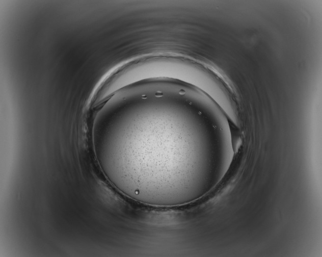X0000086100926200703301211