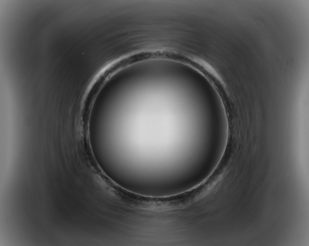 X0000086100927200703301211
