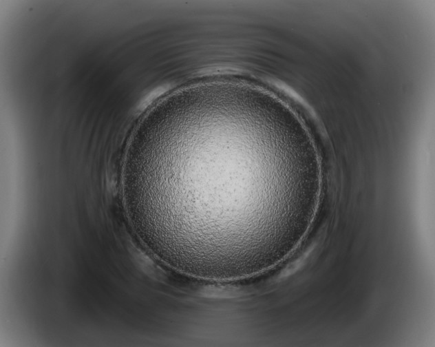 X0000086100929200703301211