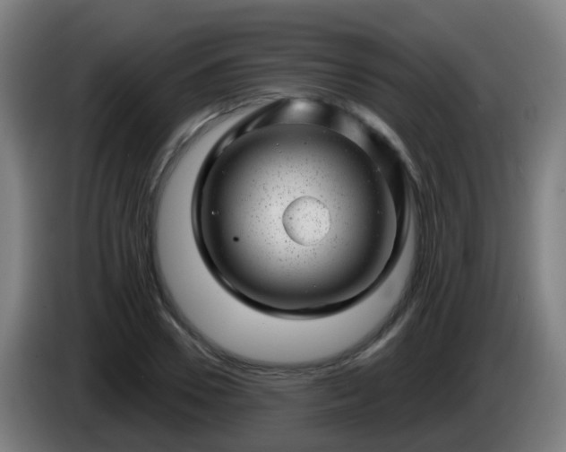 X0000086100930200703301211