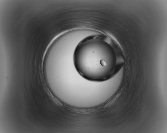 X0000086100932200703301211
