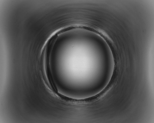 X0000086100934200703301211