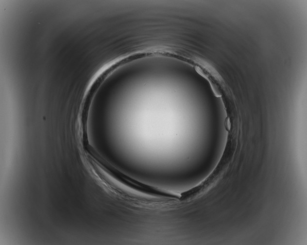 X0000086100936200703301211