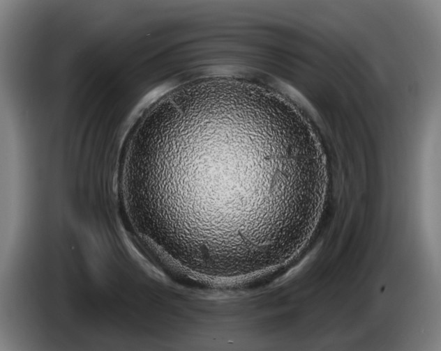 X0000086100938200703301211