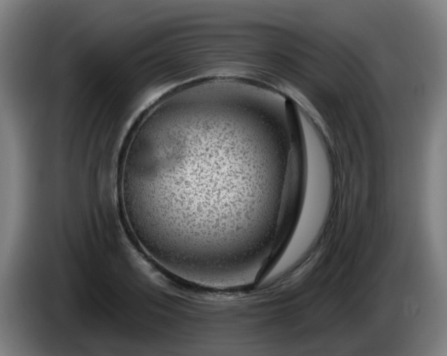 X0000086100939200703301211
