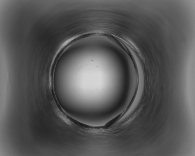 X0000086100940200703301211